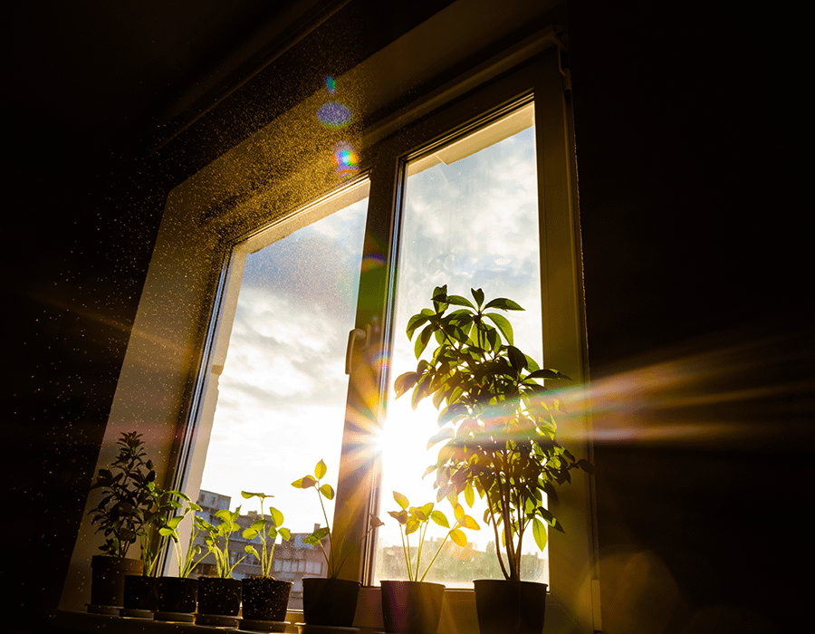 再生した世界、新しい朝