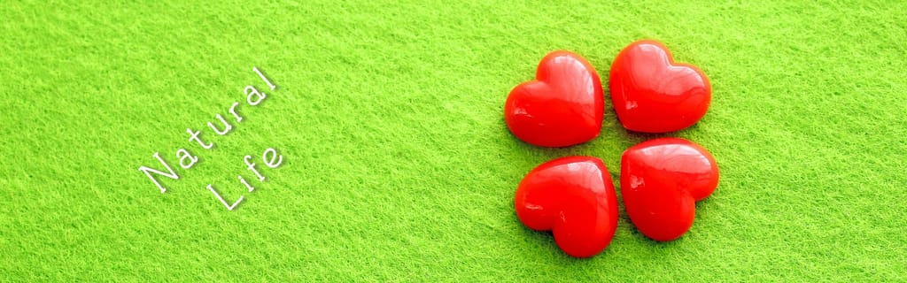 セレンディップ帯画像