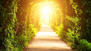 ヒプノセラピーの基礎知識と効果