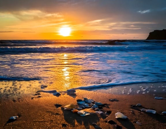 朝日を浴びてキラキラと輝く、波打ち際