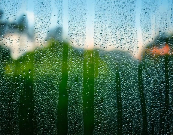 視点の変化と、色づく世界。