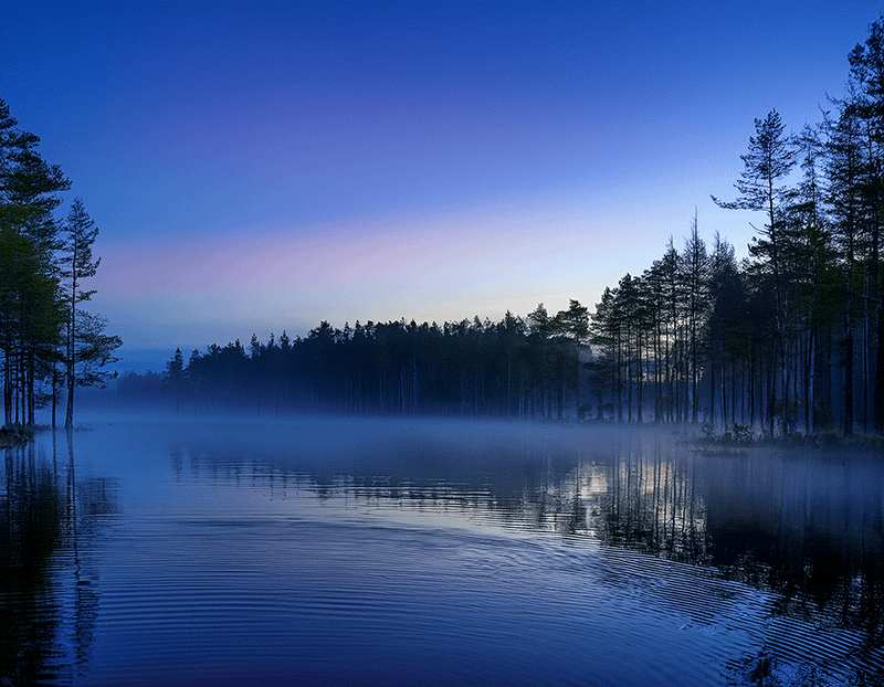 夜明け前の、静かな湖畔や森の風景